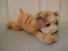 Bulldog - Wild Republic - Paws and Claws - 28cm