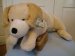 Labrador Soft Toy Dog - Large 76cm - Wild Republic