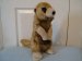 Meerkat - Wild Republic - Cuddlekins - 30cm