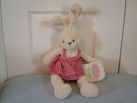 Microwavable Teddy : Rabbit Hottie Microwave Soft Toy