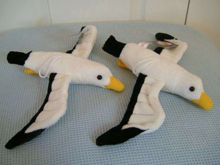Plush Seagull Toy x 2 - Dowman - Soft Toy - Click Image to Close