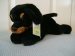 Rottweiler Dog - Wild Republic - Paws & Claws - 28cm
