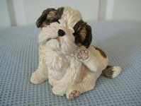 Shih Tzu Puppy - Ornament / Figurine- Living Stone