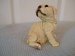 Bulldog Puppy - White - Ornament / Figurine - Living Stone