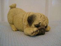 Pug Dog Ornament - Cream - Water Stain on Gift Box