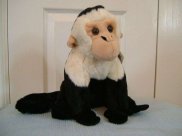 Capuchin Monkey - Wild Republic - Cuddlekins