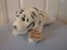 White Tiger - Russ Berrie - Yomiko - Small - 30.5cm