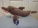Plush Dolphin Puppet / Cuddly Toy - Wild Republic - 50cm