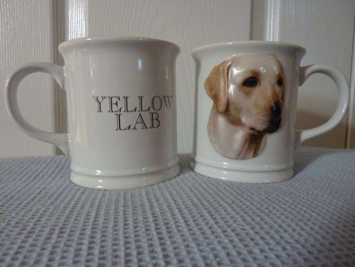 Yellow Labrador Mug - Raised Face - Ceramic Dog Mug - 11oz - Click Image to Close
