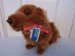 Sausage Dog Toy / Dachshund - Soft Toy - Anna Club Plush