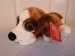 Russ Berrie Plush - Lil Peepers - Brandy St. Bernard - 23cm