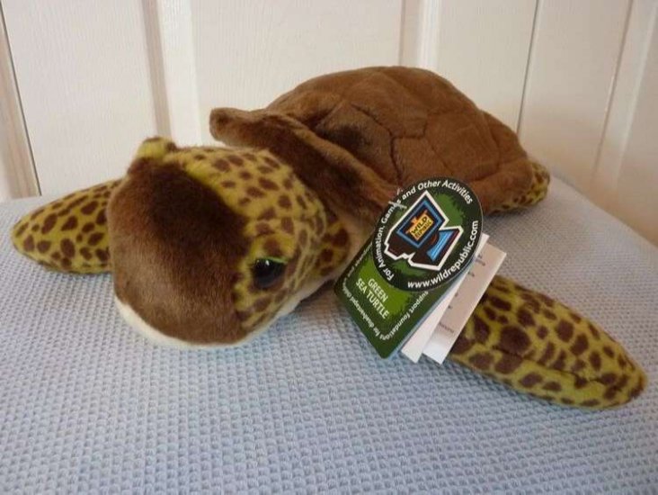 Green Sea Turtle - Cuddlekins - Wild Republic - 30cm - Click Image to Close