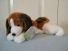Beagle Dog - Wild Republic - Paws and Claws - 28cm
