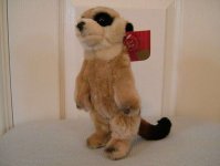 Meerkat Toys - Keel Toys - 24cm
