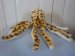 Cuddly Octopus Soft Toy - Dowman - Yellow - 18cm