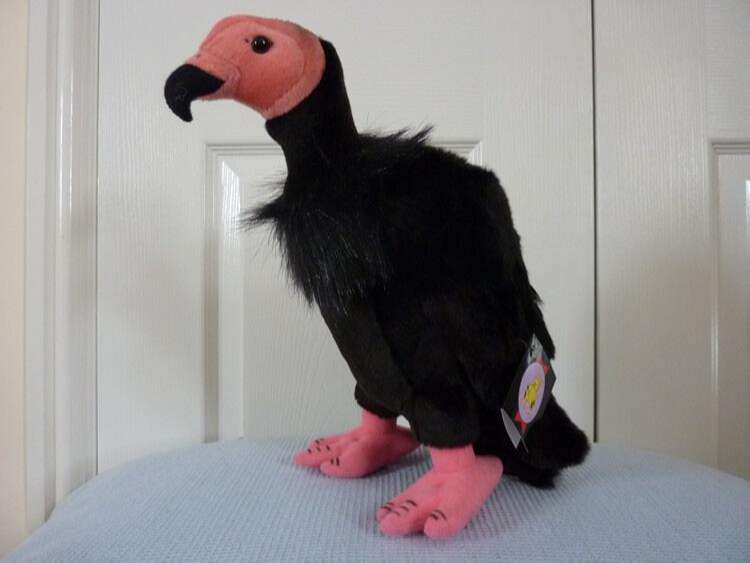 Soft Toy Vulture : Plush Stuffed Cuddly Vulture - Toy Birds for Kids